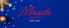 miracle journal day 29